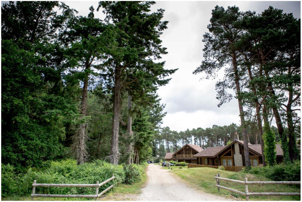 Dorset Resort Hotel East Stoke  Εξωτερικό φωτογραφία